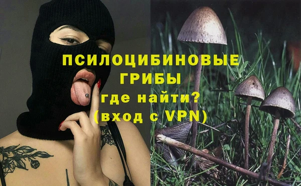 apvp Аркадак