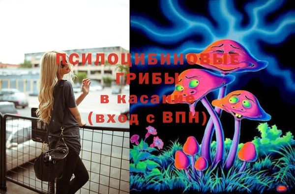 мдпв Армянск