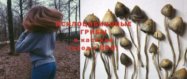 apvp Арсеньев